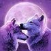 Profile Picture of Pamela Tharp (@pam_tharp) on Pinterest