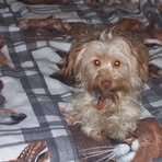 Profile Picture of Claressa Hunter Bigelow (@claressa.hunterbigelow) on Facebook