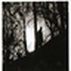 Profile Picture of Hazel Halter-Hurn (@Hazel Halter-Hurn) on Flickr