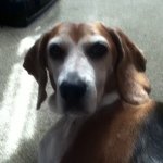 Profile Picture of Polly Hobbs (@polly_molly_hobbs) on Instagram