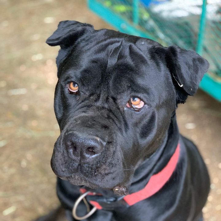 Profile Picture of Geoff Winkler (@geoff_winkler) on Tiktok