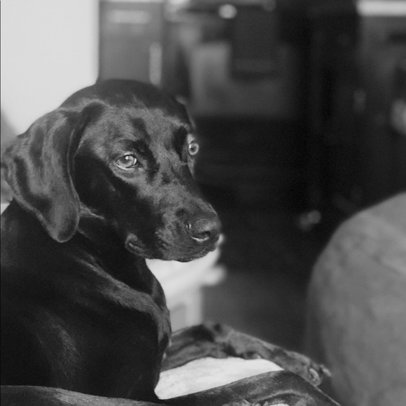 Profile Picture of Alex Bowers (@ajbowers33) on Poshmark