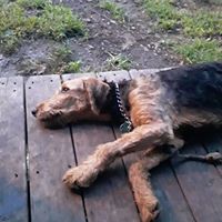 Profile Picture of Gregory Barry (@gregory-barry-8) on Quora
