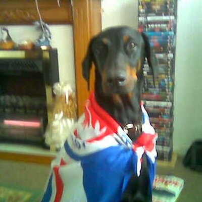 Profile Picture of David Binnie (@onemillion1) on Twitter