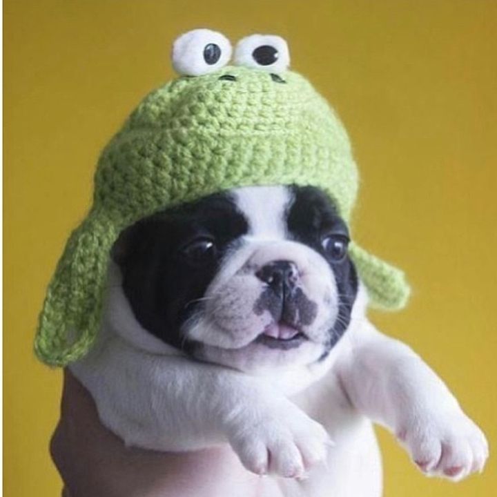 Nadiabee - Tiktok Profile Picture of Nadiabee (@nadiabee006) on Tiktok