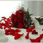 Profile Picture of gishta (@gishta) on Instagram