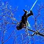 Profile Picture of Mark Tremper (@Mark-Tremper) on Facebook