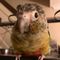 Profile Picture of Cora Wilkinson (@cora.wilkinson.35) on Facebook
