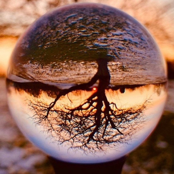 Profile Picture of Sherry Andrews (@sherry_berries) on Poshmark