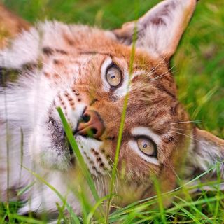 Profile Picture of Max Casto (@max.casto.581) on Facebook