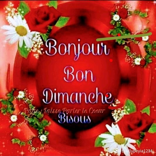 Profile Picture of davidhallyday49 (@davidhallyday49) on Tiktok