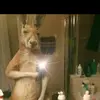 Profile Picture of Aaron la ley)😎 (@aaron.la.ley) on Tiktok