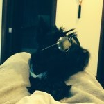 S.Nadim Nasser M - Instagram Profile Picture of S.Nadim Nasser M (@t0ruki) on Instagram