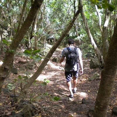 Profile Picture of Matt Burkhart (@mburk25) on Twitter
