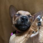 Profile Picture of Naomi Chaney (@naomi.802) on Instagram