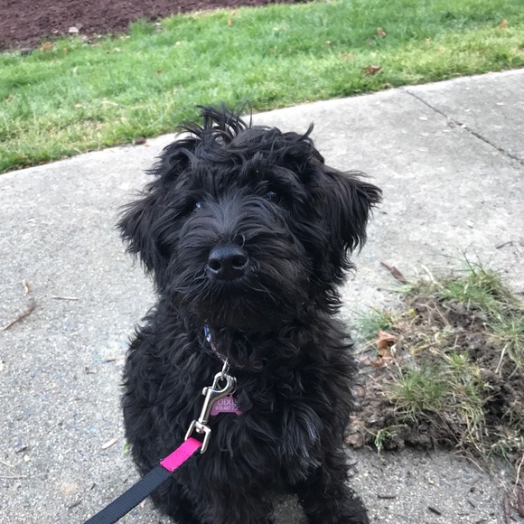 Profile Picture of Ec Lauver (@capert) on Poshmark