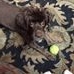Profile Picture of Betty Carlton (@betty.carlton.792) on Facebook