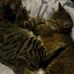 Profile Picture of Cathy Vanhelst (@cathy.vanhelst.7) on Facebook