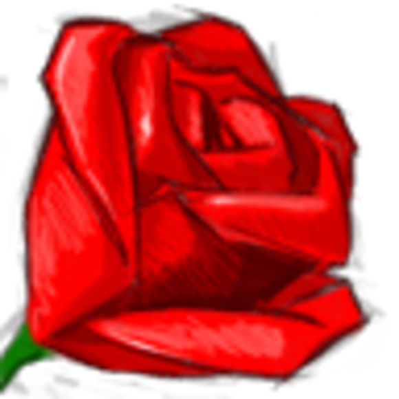 Profile Picture of Shannon Armantrout (@sarmantrout) on Poshmark