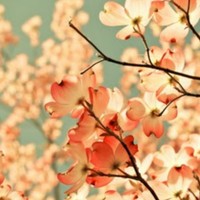 Profile Picture of Ellen Nguyen (@ellen-nguyen-20) on Quora