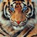 Profile Picture of Adams Adam (@Adams-Adam) on Facebook
