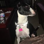 Profile Picture of Misty Bartlett (@mistygirl9992) on Instagram