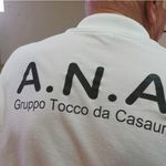 Profile Picture of Ana Alpini Tocco (@anaalpinitocco) on Instagram