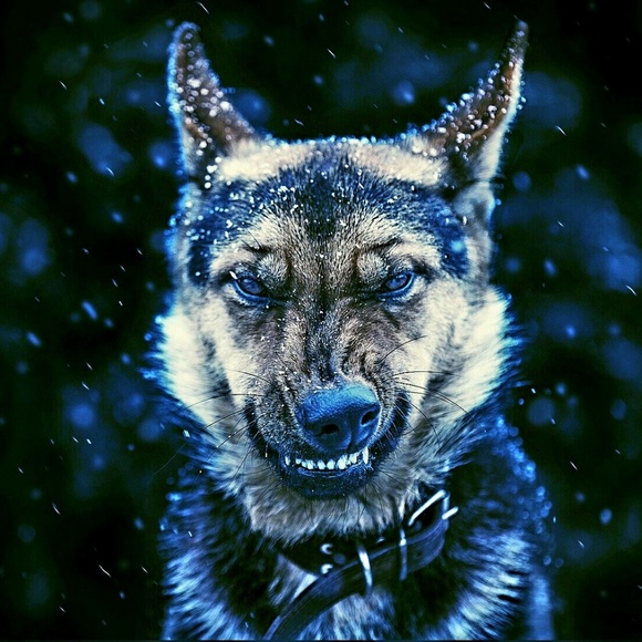 Profile Picture of Chris Sledge (@chainz15) on Poshmark