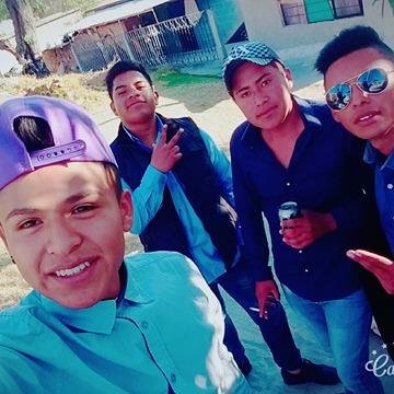 Profile Picture of Brian Serafin (@Stal_brian) on Twitter