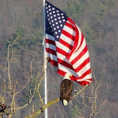 Profile Picture of Tommie L. Campbell, LTC (R) (@LTCGumfork6) on Twitter
