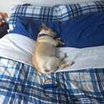 Profile Picture of Edward Mackes (@yt_bigmac41) on Instagram