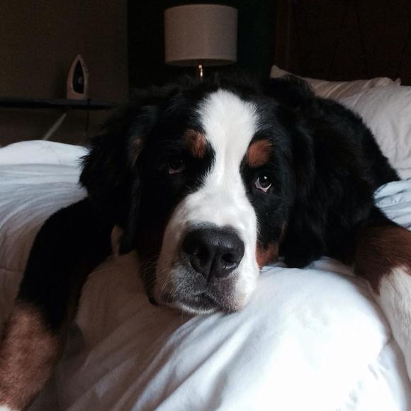 Jim Devers - Poshmark Profile Picture of Jim Devers (@gripthisjd) on Poshmark