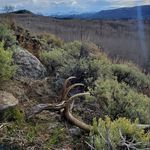 Profile Picture of Josh Soderling (@averageoutdooradventures) on Instagram