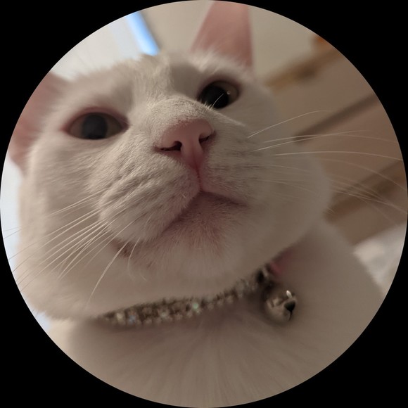 Profile Picture of Brutus Naranjo (@brutusnaranjo) on Poshmark
