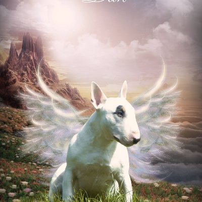 Profile Picture of Larner Dan Harland (@dan_harland) on Twitter