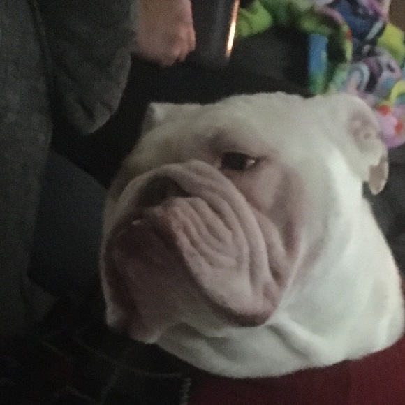 Profile Picture of Jesse Burd (@jayray0524) on Poshmark