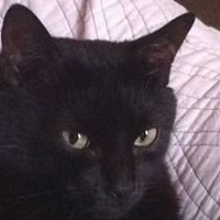 Profile Picture of Marek Rudy (@rudy_marek) on Twitter