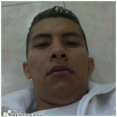 Profile Picture of Steven Paredes (@stevenparedes5) on Twitter