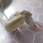 Profile Picture of John Catlow (@catlowjohn) on Instagram