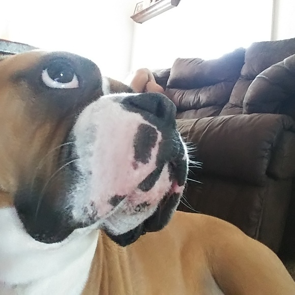 Profile Picture of David Hawes (@dah412) on Poshmark