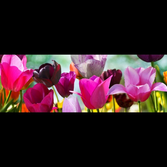 Profile Picture of Jocelyn Beafore (@jocelynolivia) on Poshmark