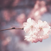 Profile Picture of Ashwini Kamath (@ashwinikamath6169) on Youtube