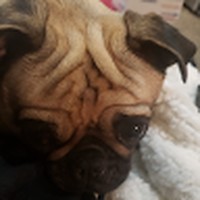 Profile Picture of Sherrie Swanson (@sherrie-swanson-5) on Quora