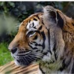 Profile Picture of Trevor Neal (@shots_by_trevor) on Instagram