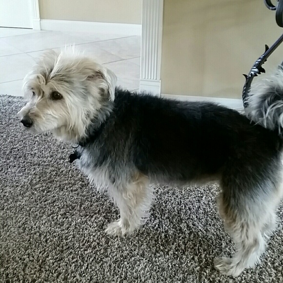 Profile Picture of Kay Dahle (@kayteddy) on Poshmark