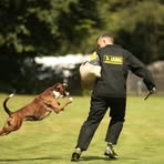 Profile Picture of Alex Anders (@Alex-Anders) on Facebook