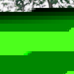 Profile Picture of Vikram Singh (@vsingh20682) on Myspace