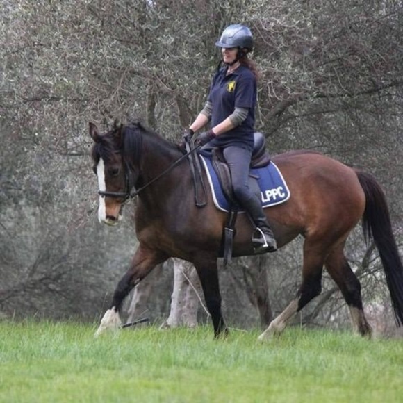 Profile Picture of Kate Ashton (@kateashton364) on Poshmark