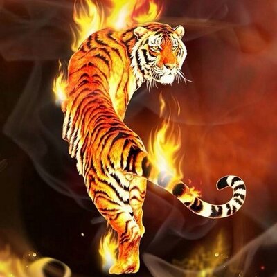 Profile Picture of Tyler Copley (@tcopley29) on Twitter