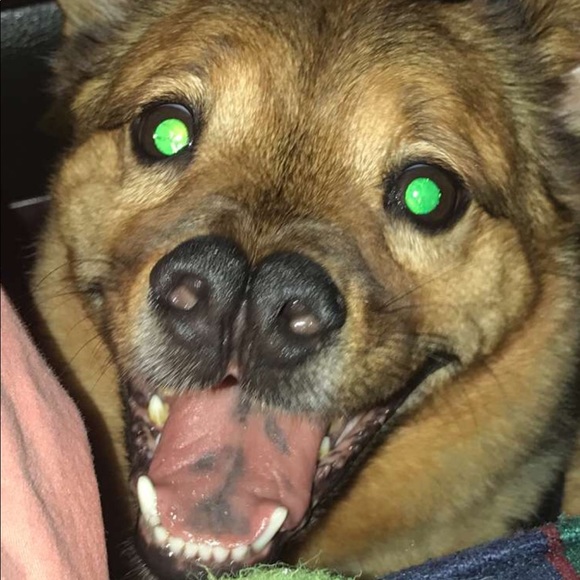 Leslie Vannucci - Poshmark Profile Picture of Leslie Vannucci (@bello_123) on Poshmark